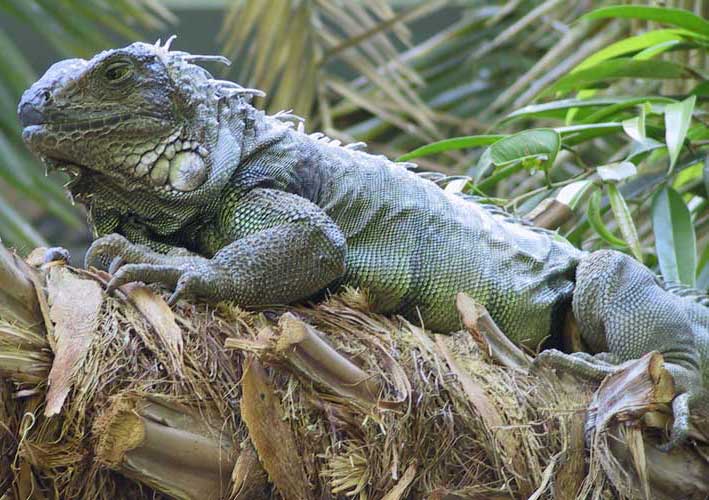 Ecuador - 