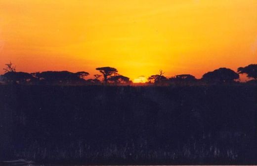 Szafari és nyaralás Kenyában