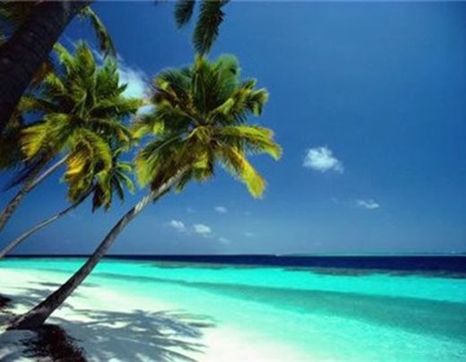 Thaiföld - Phi Phi Cabana