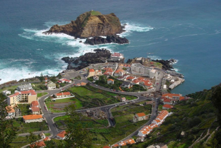 Madeira - Royal Orchid