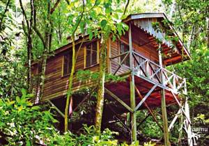 Dominica - Jungle Bay Resort & Spa