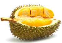 Durian a tigrisek kedvenc gyümölcse