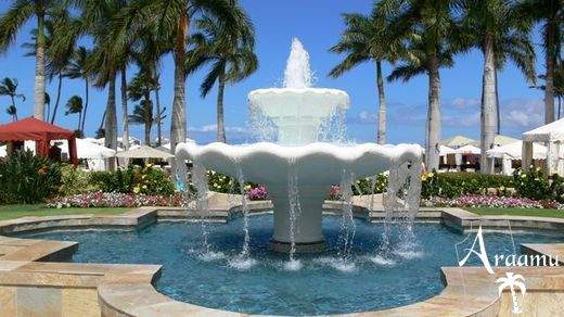 Hawaii, Grand Hyatt Kauai Resort & Spa****+