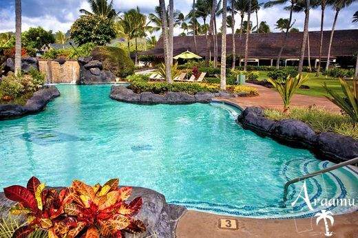 Hawaii, Kauai Coast Resort at the Beachboy***+
