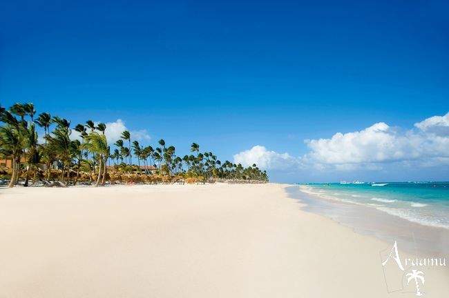 Dominika, Dreams Royal Beach Punta Cana*****