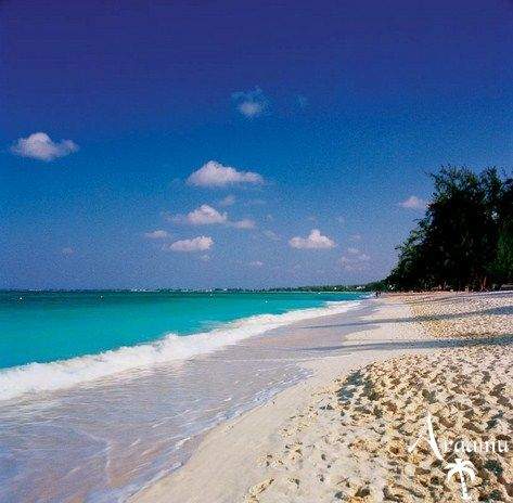 Kajmán-szigetek, Grand Cayman Beach Suites*****