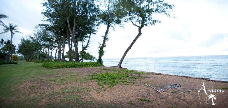 Hawaii, Aston Islander On The Beach***