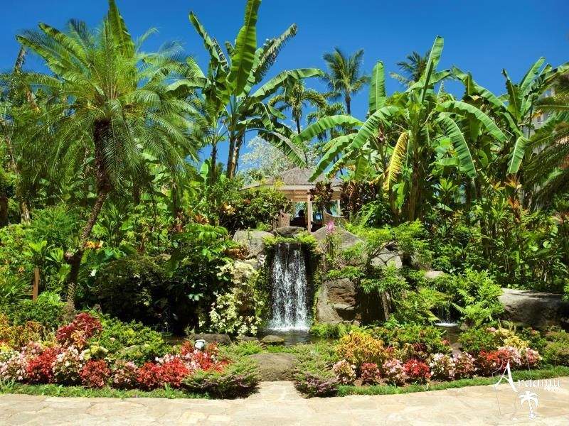 Hawaii, Aston Kaanapali Shores***+