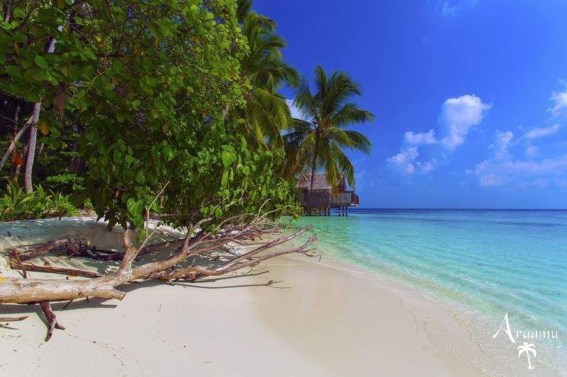 Maldív-szigetek, Aaaveee Nature's Paradise***+