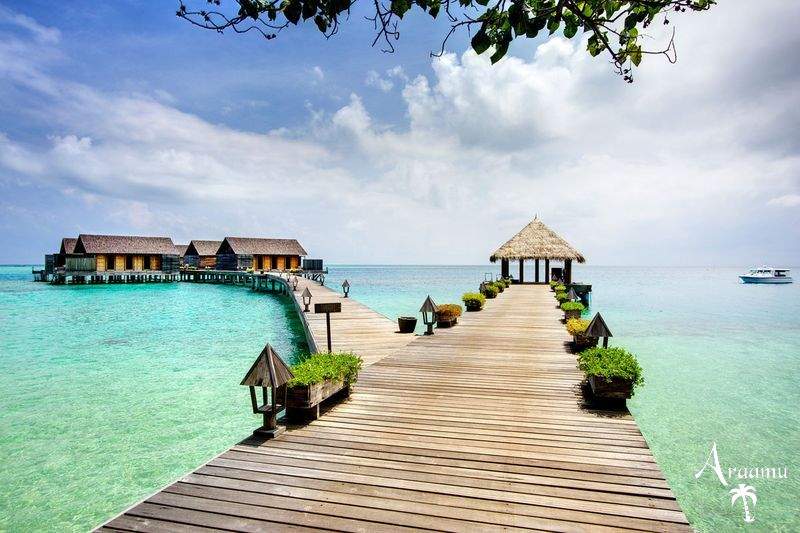 Maldív-szigetek, Gangehi Island Resort****