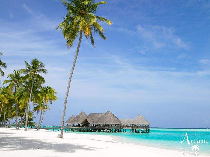 Maldív-szigetek, Gili Lankanfushi*****+